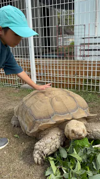 滋賀農業公園ブルーメの丘に投稿された画像（2026/10/21）