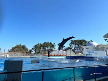 越前松島水族館に投稿された画像（2026/10/21）