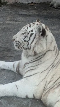 東武動物公園に投稿された画像（2026/10/21）