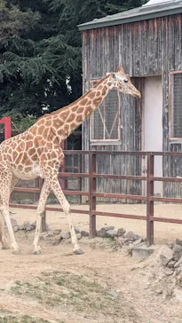 東武動物公園に投稿された画像（2026/10/21）