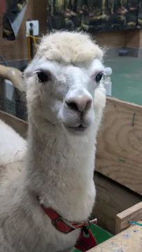 東武動物公園に投稿された画像（2026/10/21）