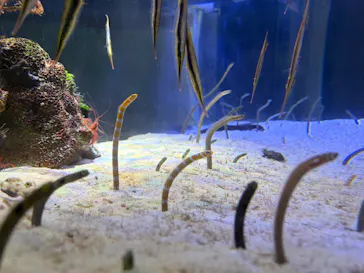 名古屋港水族館に投稿された画像（2026/10/21）