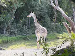 天王寺動物園に投稿された画像（2026/10/21）
