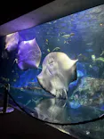 大分マリーンパレス水族館 「うみたまご」に投稿された画像（2026/10/21）
