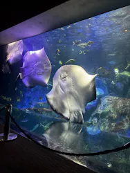 大分マリーンパレス水族館 「うみたまご」に投稿された画像（2026/10/21）