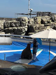 大分マリーンパレス水族館 「うみたまご」に投稿された画像（2026/10/21）