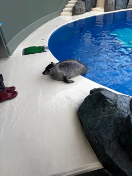 大分マリーンパレス水族館 「うみたまご」に投稿された画像（2026/10/21）