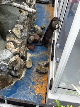 大分マリーンパレス水族館 「うみたまご」に投稿された画像（2026/10/21）