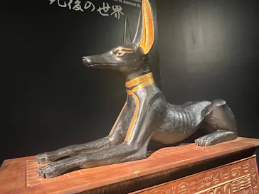 MYSTERY OF TUTANKHAMEN 体感型古代エジプト展に投稿された画像（2026/10/21）