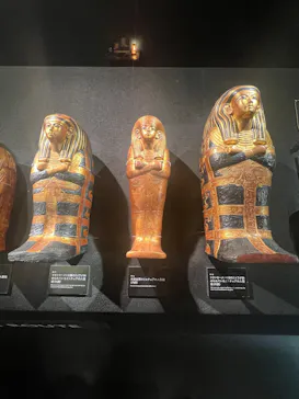 MYSTERY OF TUTANKHAMEN 体感型古代エジプト展に投稿された画像（2026/10/21）