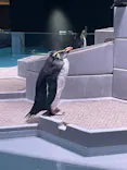 AOAO SAPPOROに投稿された画像（2026/10/22）