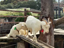 東武動物公園に投稿された画像（2026/10/22）