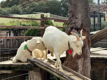 東武動物公園に投稿された画像（2026/10/22）