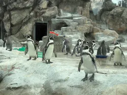 東武動物公園に投稿された画像（2026/10/22）