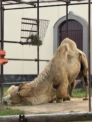 東武動物公園に投稿された画像（2026/10/22）
