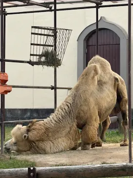 東武動物公園に投稿された画像（2026/10/22）