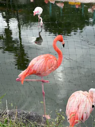 東武動物公園に投稿された画像（2026/10/22）