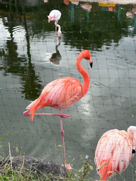 東武動物公園に投稿された画像（2026/10/22）