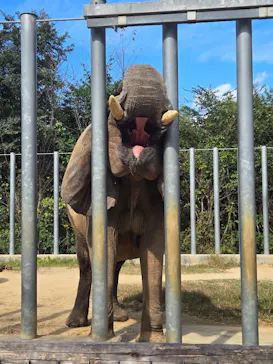 しろとり動物園に投稿された画像（2026/10/22）