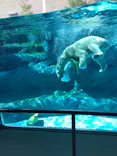 天王寺動物園に投稿された画像（2026/10/22）