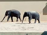 天王寺動物園に投稿された画像（2026/10/22）