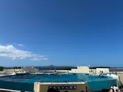 沖縄美ら海水族館に投稿された画像（2026/10/23）