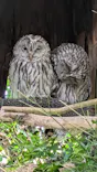 環境水族館アクアマリンふくしまに投稿された画像（2026/10/23）