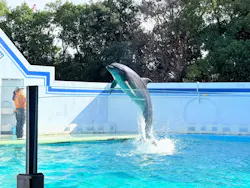 しながわ水族館に投稿された画像（2026/10/23）