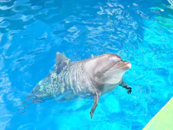 しながわ水族館に投稿された画像（2026/10/23）