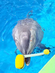 しながわ水族館に投稿された画像（2026/10/23）