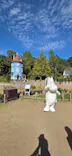 ムーミンバレーパークに投稿された画像（2026/10/23）