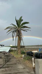 九十九里海釣りセンターに投稿された画像（2026/10/23）
