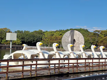 万博記念公園に投稿された画像（2026/10/23）
