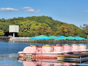 万博記念公園に投稿された画像（2026/10/23）