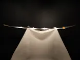 東京国立博物館に投稿された画像（2026/10/23）