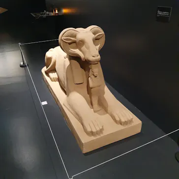 MYSTERY OF TUTANKHAMEN 体感型古代エジプト展に投稿された画像（2026/10/23）