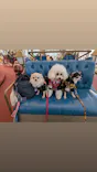 西武園ゆうえんちに投稿された画像（2026/10/24）