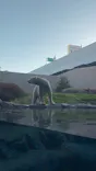 天王寺動物園に投稿された画像（2026/10/24）