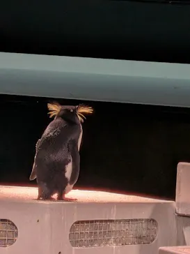 AOAO SAPPOROに投稿された画像（2026/10/24）