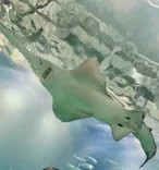 マクセル アクアパーク品川に投稿された画像（2026/10/24）