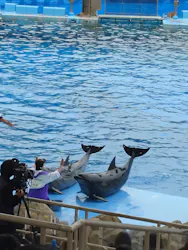 名古屋港水族館に投稿された画像（2026/10/24）