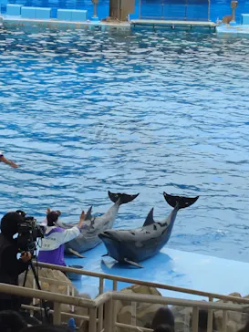名古屋港水族館に投稿された画像（2026/10/24）