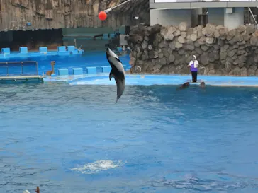 名古屋港水族館に投稿された画像（2026/10/24）