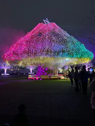 東京メガイルミに投稿された画像（2026/10/24）