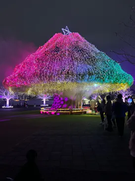 東京メガイルミに投稿された画像（2026/10/24）