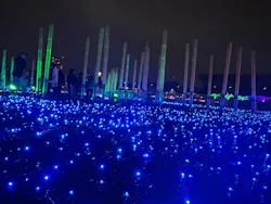 東京メガイルミに投稿された画像（2026/10/24）