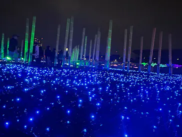 東京メガイルミに投稿された画像（2026/10/24）