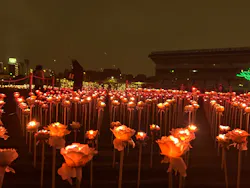 東京メガイルミに投稿された画像（2026/10/24）