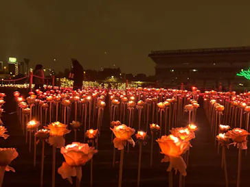 東京メガイルミに投稿された画像（2026/10/24）