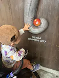 天王寺動物園に投稿された画像（2026/10/24）
